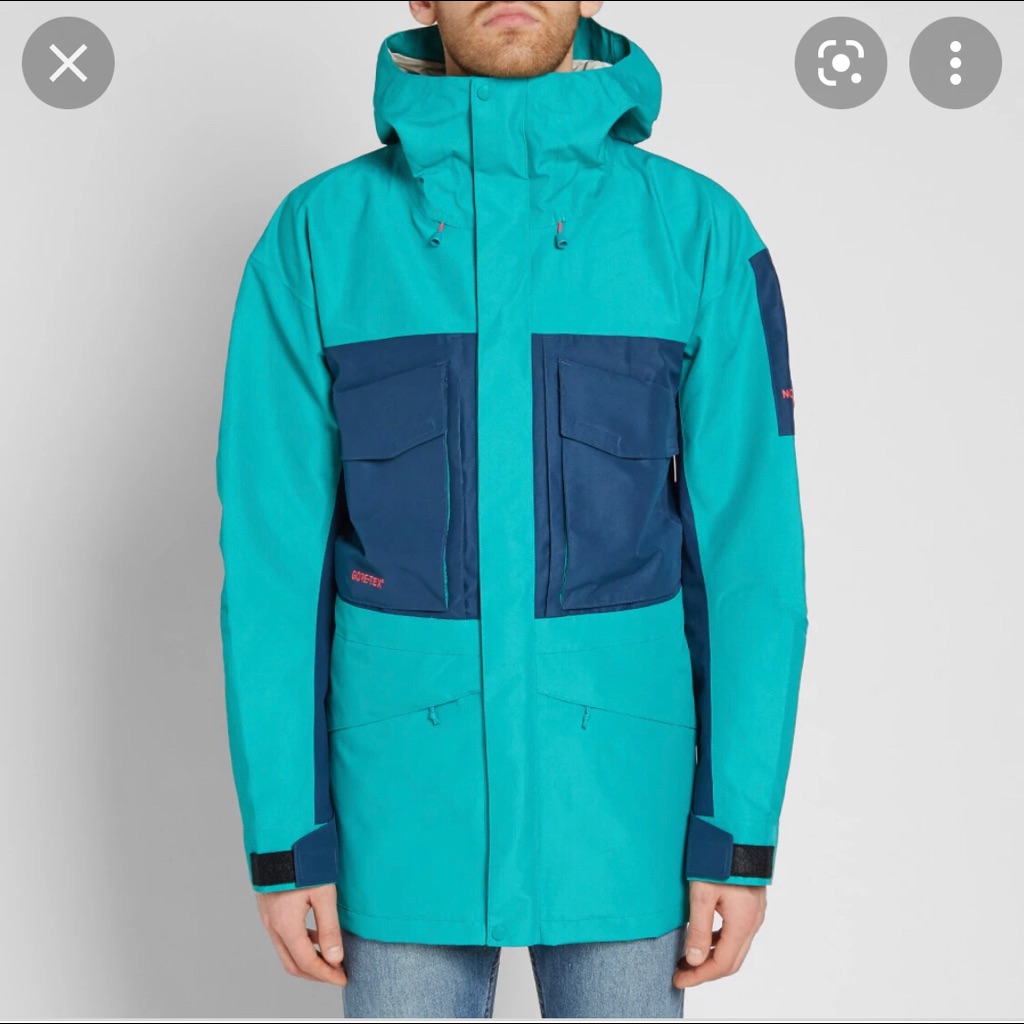 The North Face Fantasy Ridge Gtx Parka